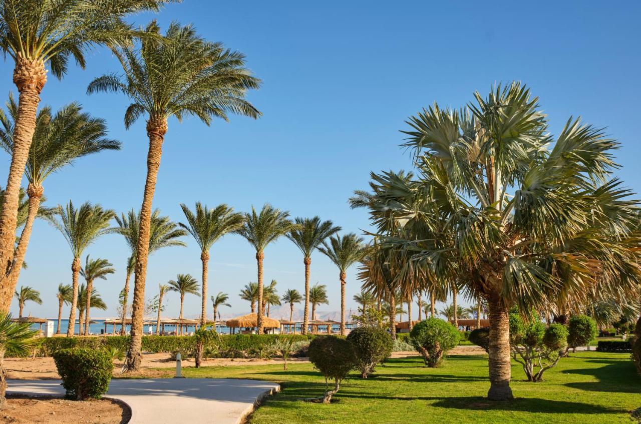 Hotel Coral Sea Waterworld Sharm El Sheikh Exterior foto